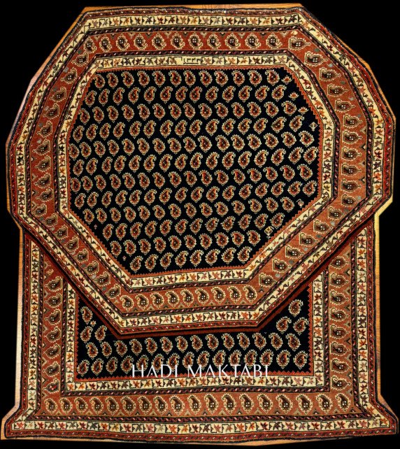 4D QASHQAI HORSE COVER