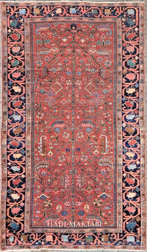 𝙏𝙧𝙚𝙚 𝙤𝙛 𝙇𝙞𝙛𝙚 𝗛𝗲𝗿𝗶𝘇