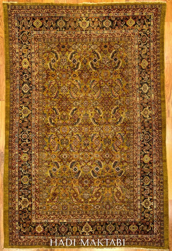 𝐆𝐫𝐞𝐞𝐧 𝐙𝐢𝐞𝐠𝐥𝐞𝐫 𝐒𝐮𝐥𝐭𝐚𝐧𝐚𝐛𝐚𝐝