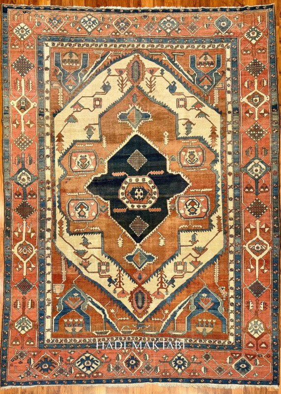 𝐒𝐔𝐏𝐄𝐑 𝐒𝐄𝐑𝐀𝐏𝐈