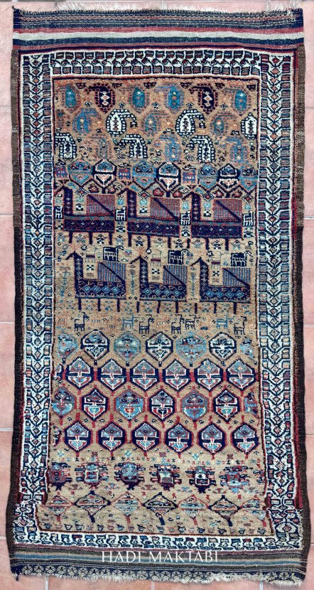 𝐁𝐚𝐥𝐮𝐜𝐡 𝐁𝐢𝐫𝐝 𝐕𝐚𝐠𝐢𝐫𝐞𝐡